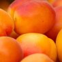 Aprikosenkern Pflegeöl, Verwöhnzeit, bio, 75ml