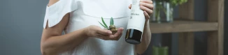 Pflanzenöle online kaufen - Aromapflege